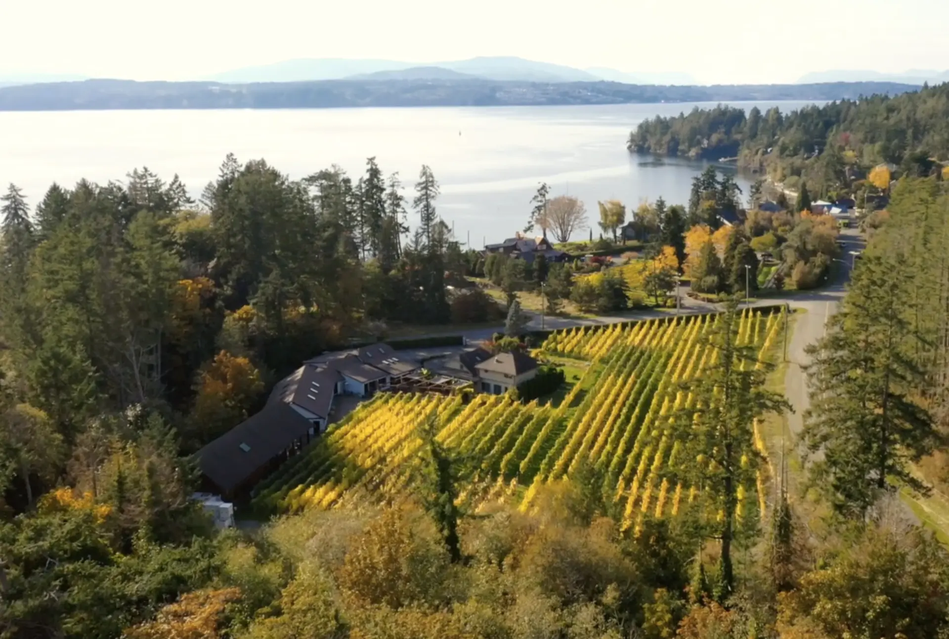 Deep Cove Winery in Peninsula