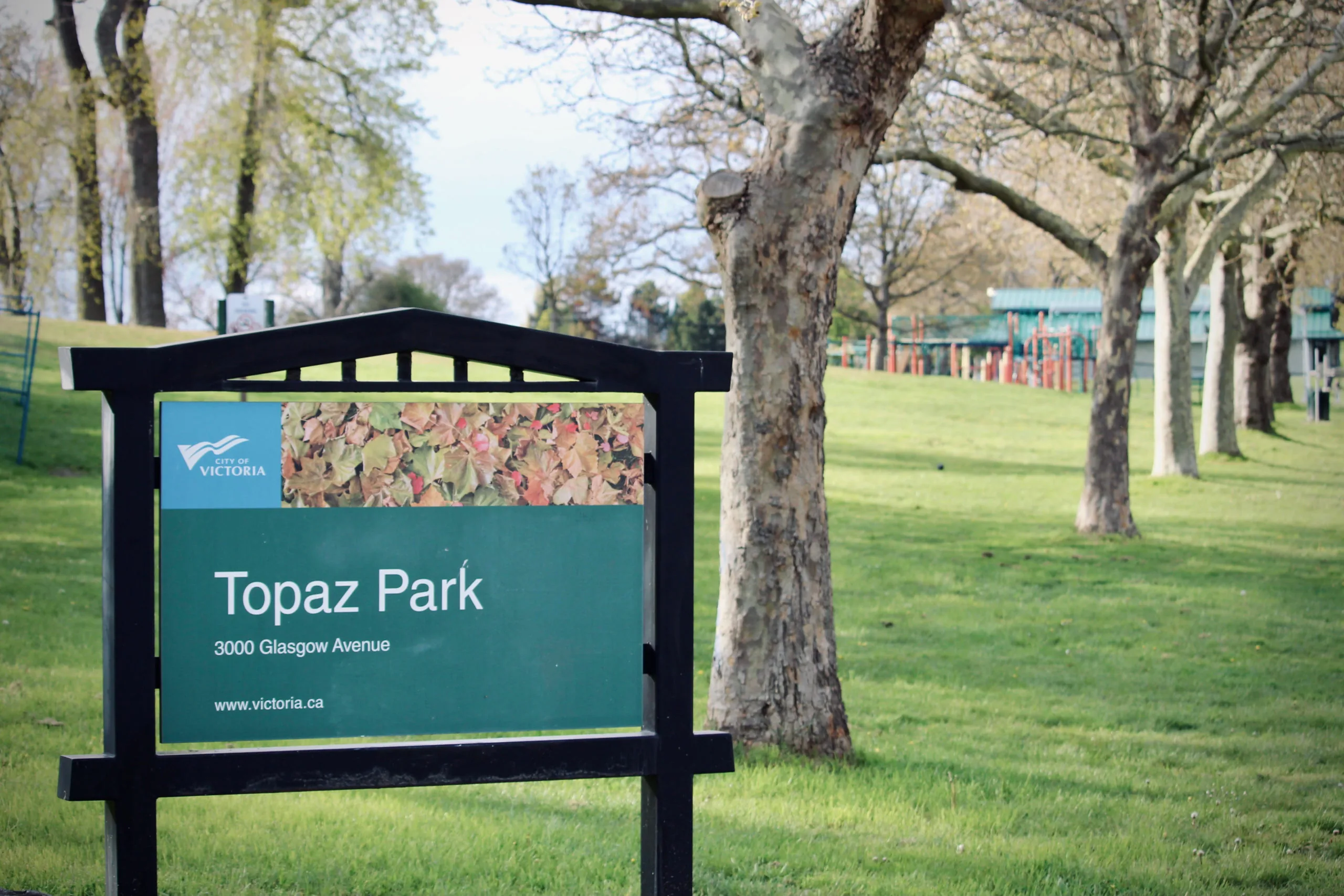 Topaz Park in Hillside / Quadra